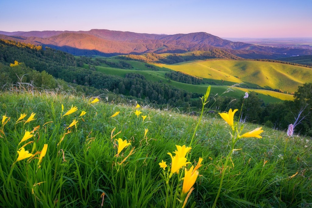 Altai.jpg kurort_sbor